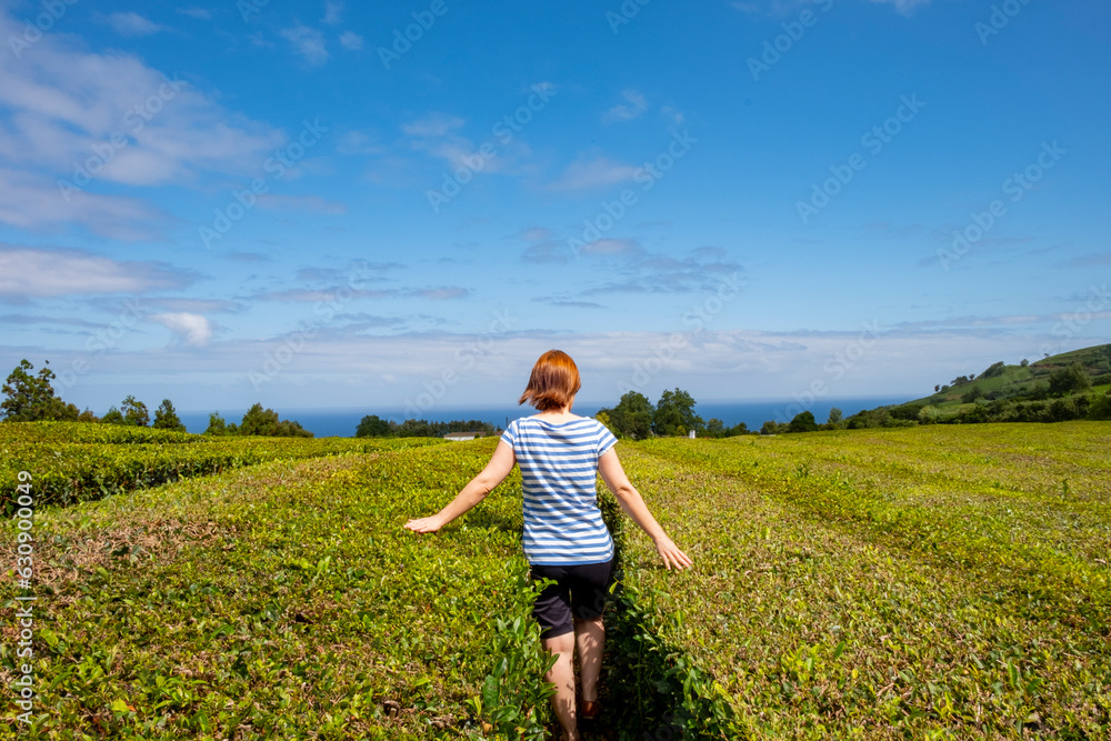 Young woman walking through the corridors of a tea plantation with both hands touching the green leaves of the tea. Gorreana Tea Plantation on the island of Sao Miguel in the Azores.