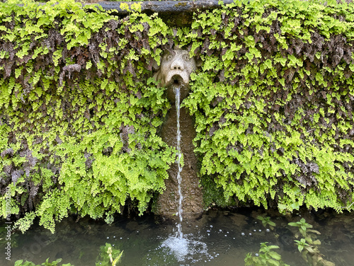 Close up Fountain at Villa d'Este