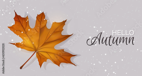 Hello autumn horizontal web banner with maple leaf