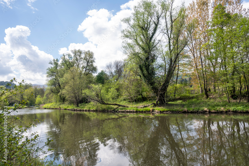 Spring Landscape of Iskar river near Pancharevo lake, Bulgaria