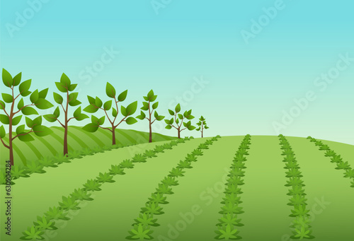 A farm scene with a row of trees lining one side, agroforestry illustration
