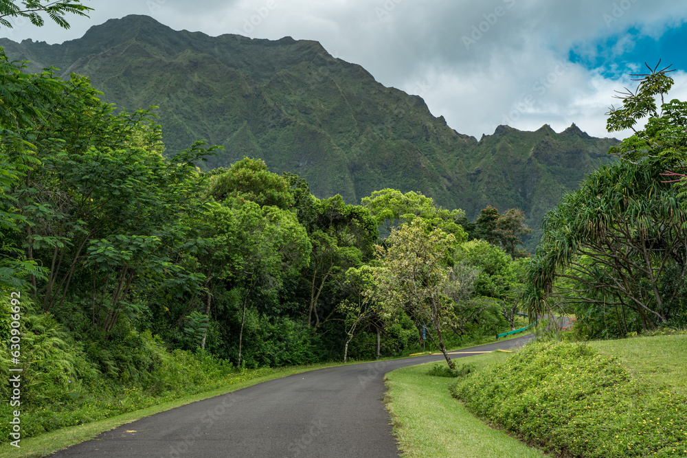 Ho'omaluhia Botanical Garden, Oahu Hawaii. Koʻolau Range
