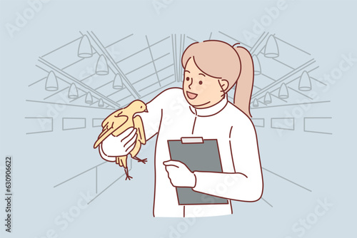Woman veterinarian with chicken in hands works at poultry farm checking chickens for infections 