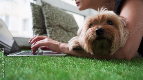 Work-Life Balance: Businesswoman Multi-Tasking on Laptop with Yorkshire Terrier dog Companion photo