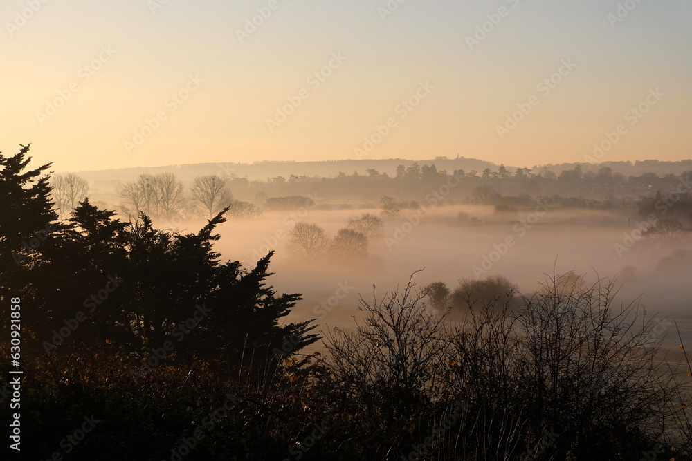 Dramatic eerie rural countryside view with fog and mist over Somerset Levels in Glastonbury, England, UK