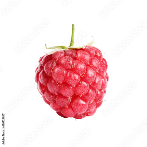 One tasty fresh raspberry isolated on white
