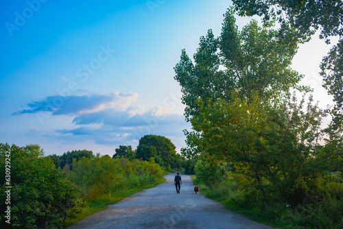 Fotografie Trees rustling by the wind in the morning in Lakeshore in Etobicoke, Ontario, Canada