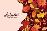 Autumn sale background layout decorate with leaves of autumn for shopping sale or banner, promo poster, frame leaflet or web. Vector illustration.
