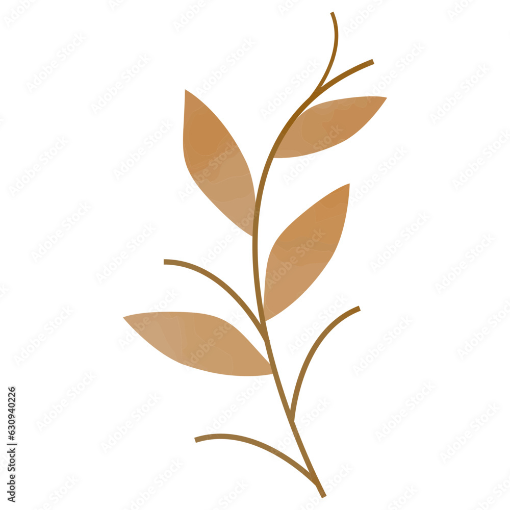 Leaf Illustration Leaf Illustration