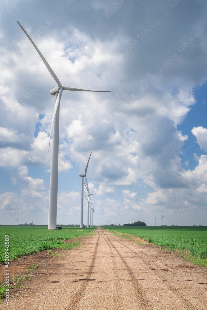 Wind Turbines in the Summer Cornfields