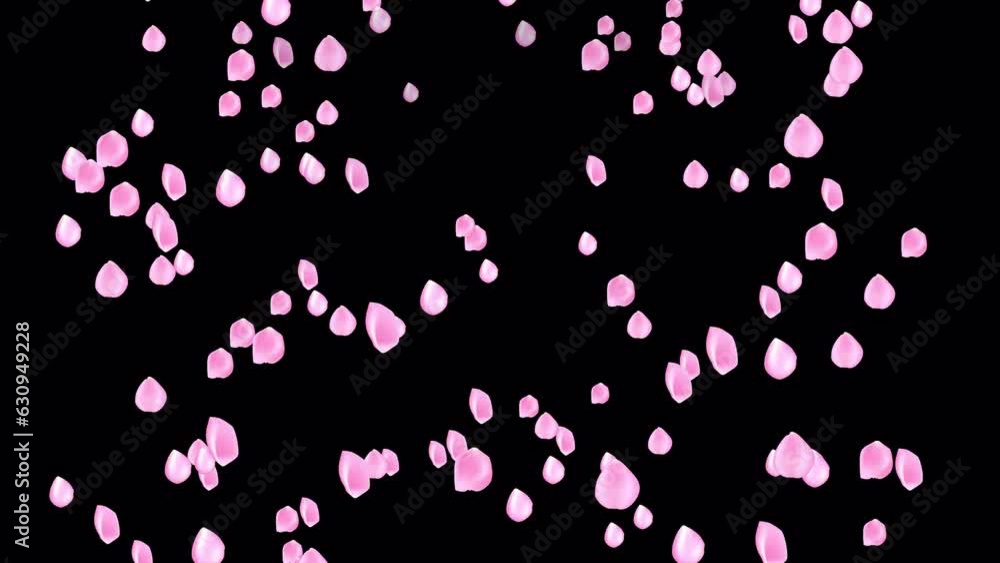 The Intricacies of Designing Rose Petals Animation, Petals for Digital Greeting Cards The Intricacies of Designing Rose Petals Animation, Petals for Digital Greeting Cards