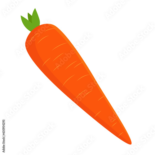 Whole carrot vector illustration. Cartoon drawing of whole carrot isolated on white background. Food, nutrition, diet concept