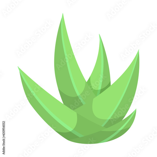 Succulent plant illustration. Pastel succulent isolated on white background. Plant, succulent concept
