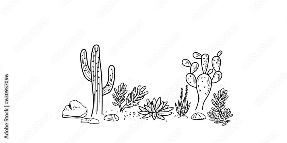 Fototapeta premium Hand drawn with succulents and cactus desert plants, on white background.