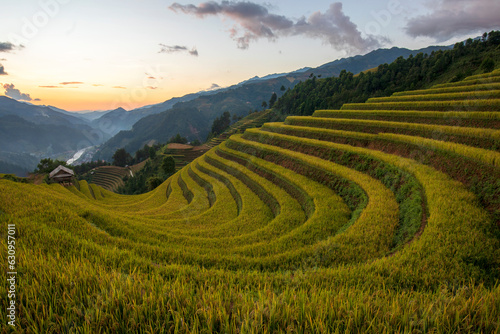 Terrace rice field in Vietnam © Dung