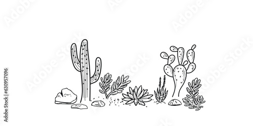 Hand drawn with succulents and cactus desert plants, on white background.