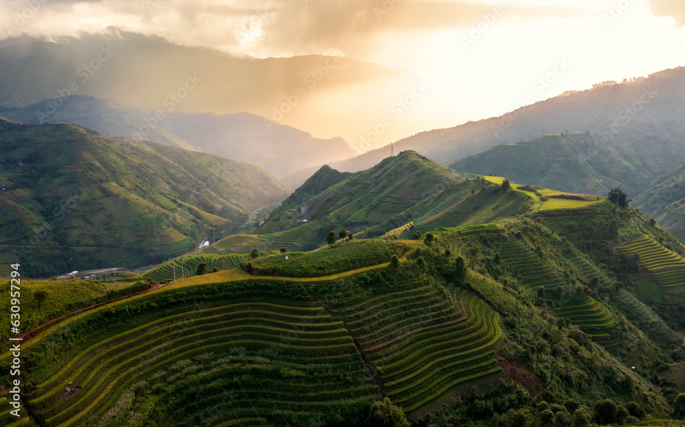 Terrace rice field in Vietnam