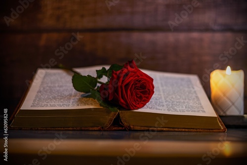 Romantic still life with rose and book