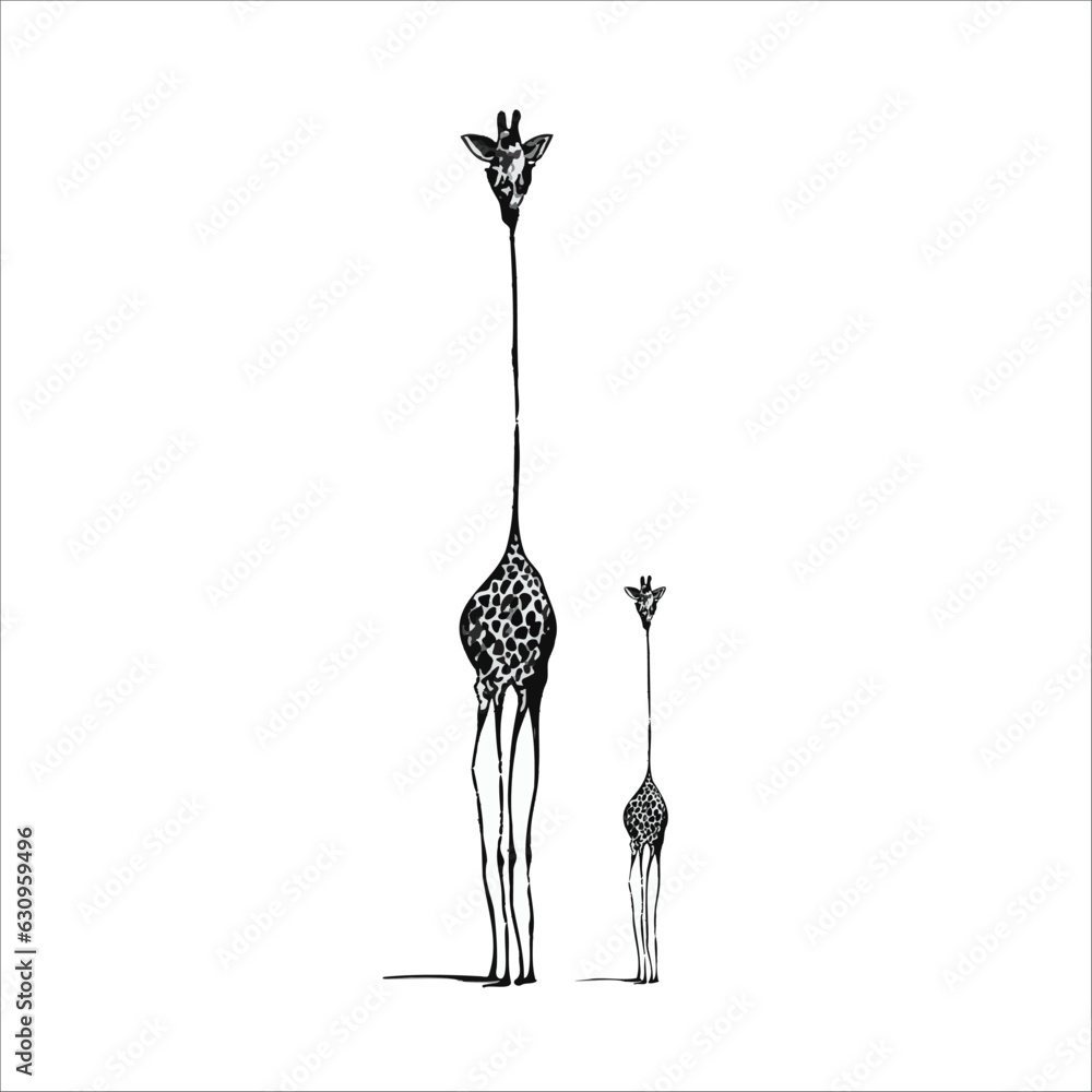 Mother giraffe and child stand side by side, animal love mother and