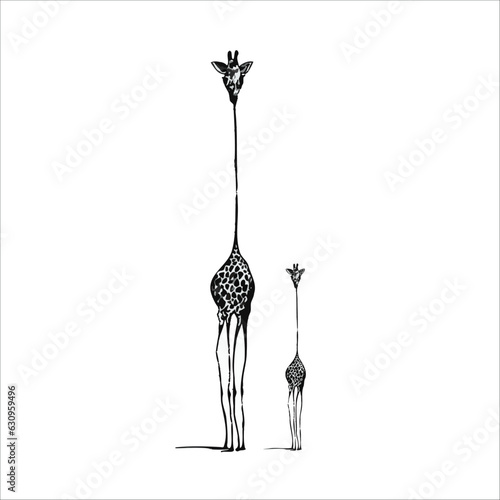 Mother giraffe and child stand side by side, animal love mother and child in Africa, animal decoration illustration  in black and white. long necked mammals motherly love bonding.