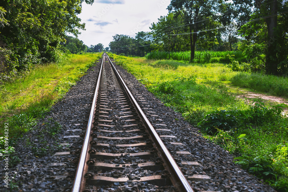 Obraz premium Rural train tracks with beautiful nature on both sides of the road