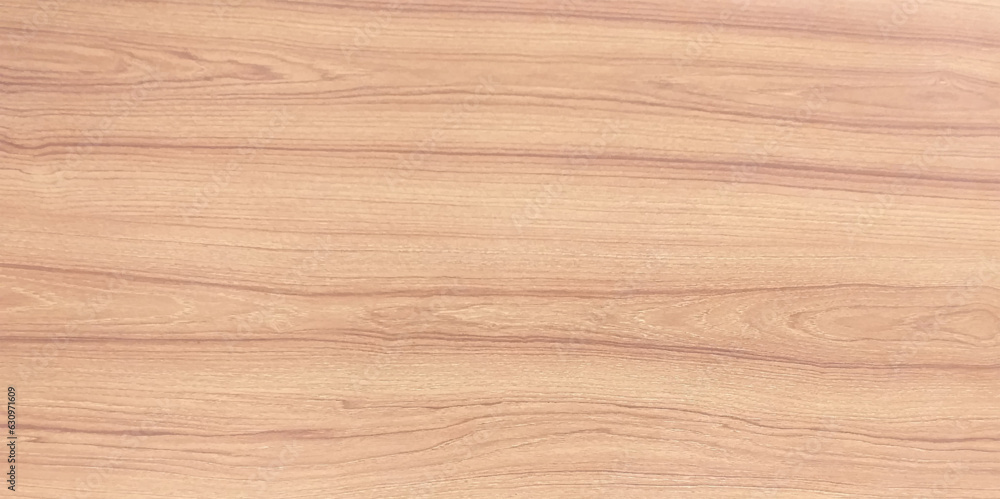 Obraz premium Wood texture background, wood planks. Grunge wood, painted wooden wall pattern