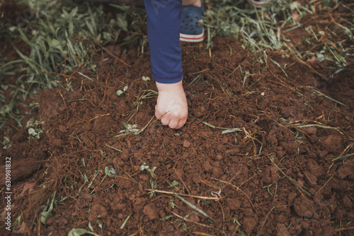 Child s Hand Planting Pumpkin Seed in Dark Soil