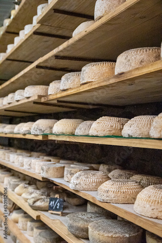 The Gourmet Artisanal Cheese Journey