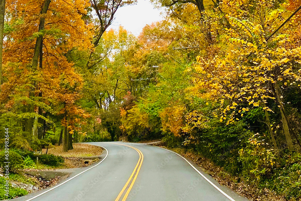 Winding road surrounded by trees with changing leaves. Winding road surrounded by trees with changing leaves.