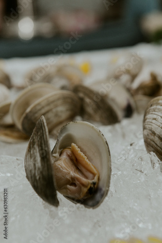 Open Shell Clams on Ice with Lemon