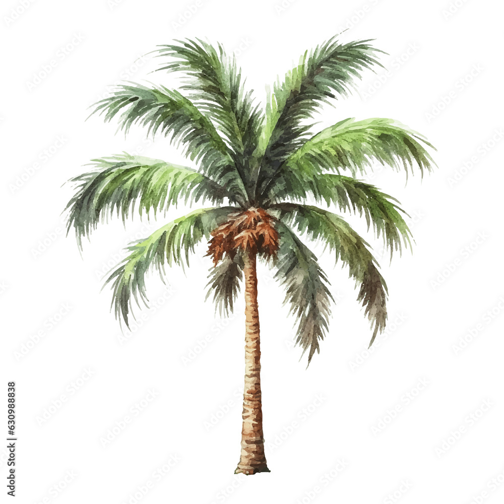 Obraz premium palm watercolor illustration, generative AI