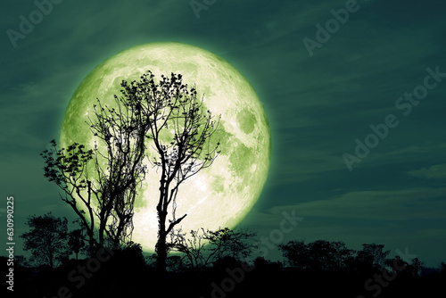 Full Crust green Moon and silhouette tree in the field and night sky