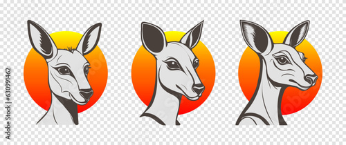 Vector set of portraits of cute graphic portraits of kangaroos on the background of the sun. Icons or stickers. Isolated background.