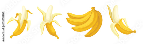 Banana as Elongated, Edible Fruit Covered with Yellow Rind Vector Set