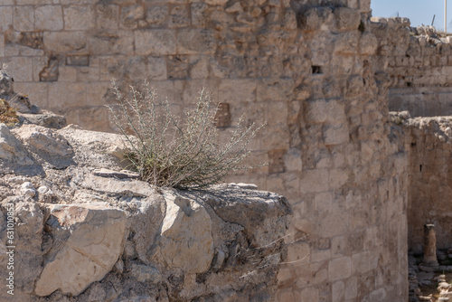 herodium park photo