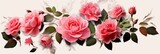 Floral background with pink roses and leaves. created with generative ai