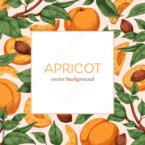Apricots background. Exotic fresh ripe fruits and leaves frame, square-shaped...