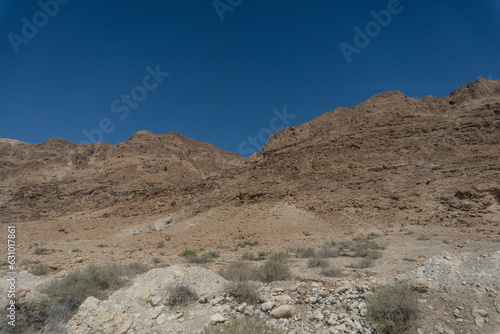 Desierto Israelí, Israel