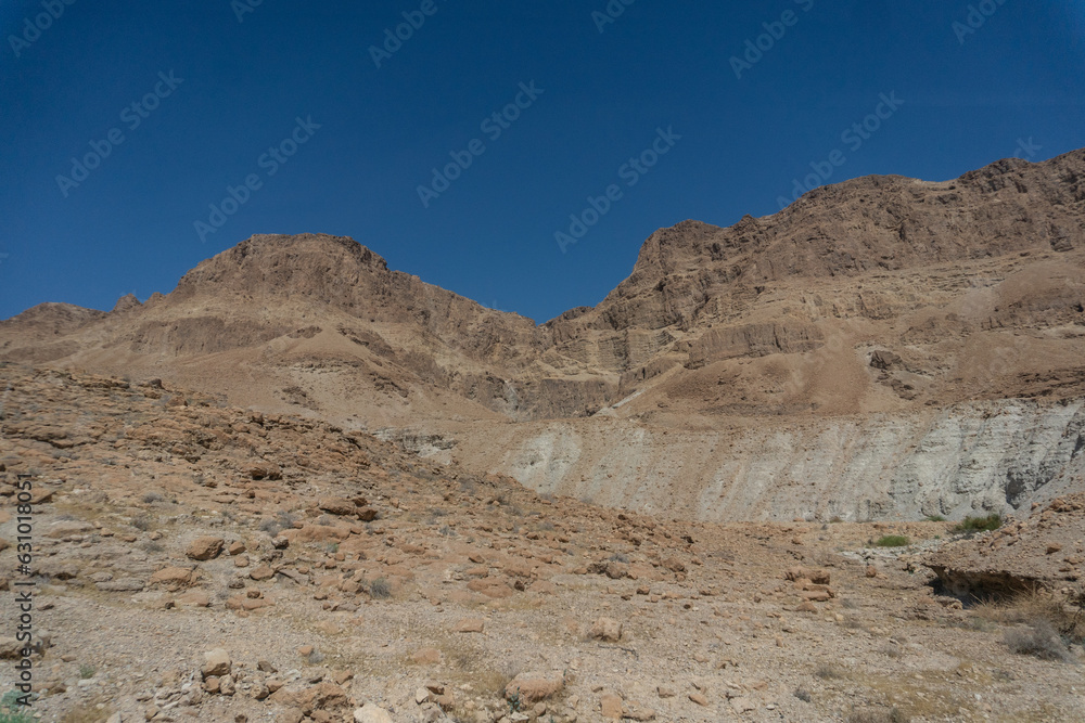 Desierto Israelí, Israel