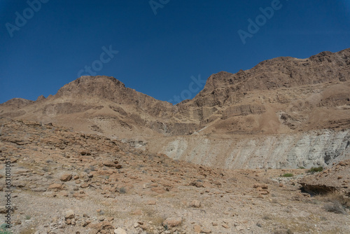 Desierto Israelí, Israel