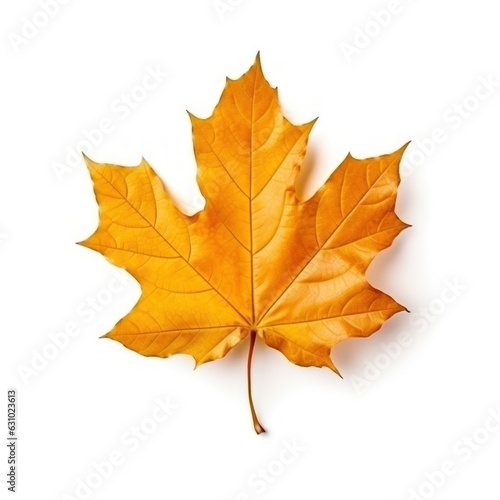 Wallpaper Mural Autumn falling leaf isolated Torontodigital.ca