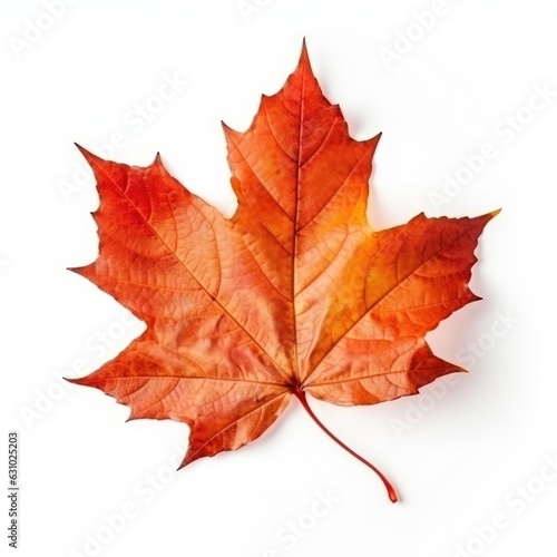 Autumn falling leaf isolated