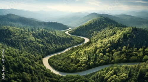 Fototapeta Naklejka Na Ścianę i Meble -  Aerial aerial road winding path forest tree canopy