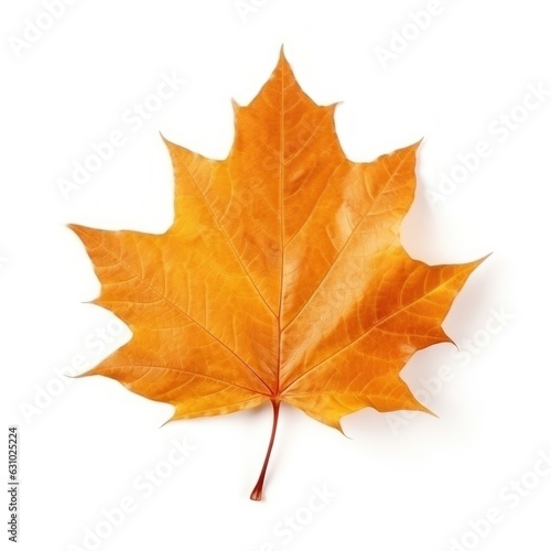 Wallpaper Mural Autumn falling leaf isolated Torontodigital.ca