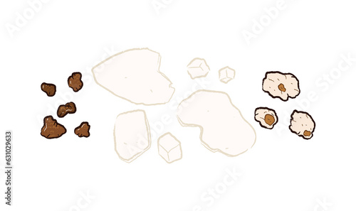 Elements of Poria cocos in medicine illustration