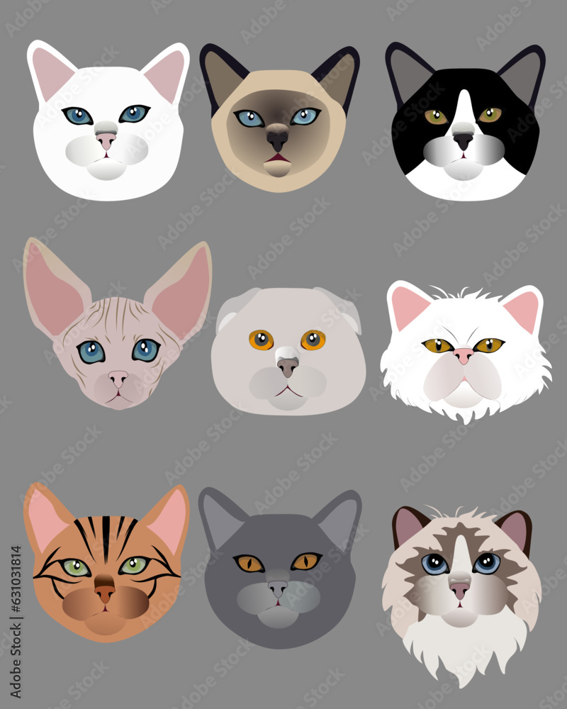Cat breeds icon set flat style vector image