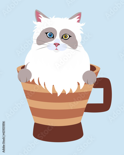 A fluffy Ragdoll Cat with Mismatched Eyes Peering from Inside a Coffee Mug