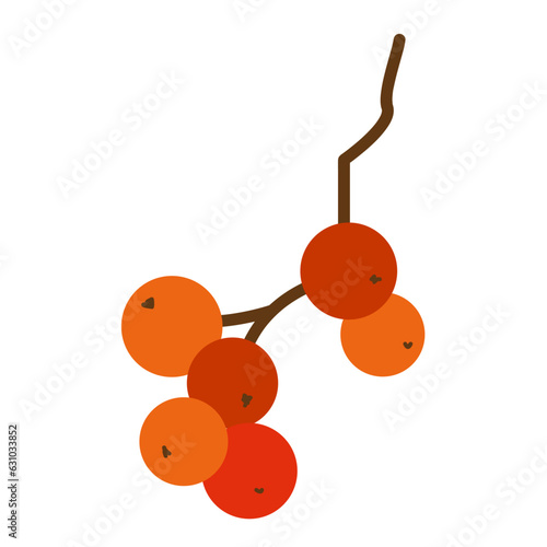 赤い木の実のシンプルなイラスト