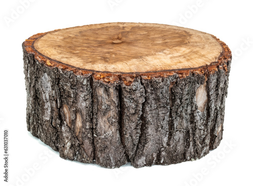 tree stump isolated 