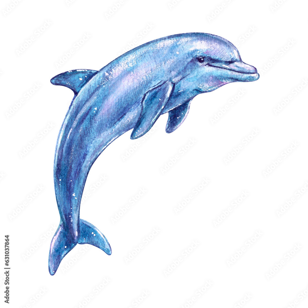 Obraz premium Watercolor blue dolphin isolated on white background. Artwork for ecology blog,print, sticker, aquapark, zoo, design element, oceanarium, education poster.